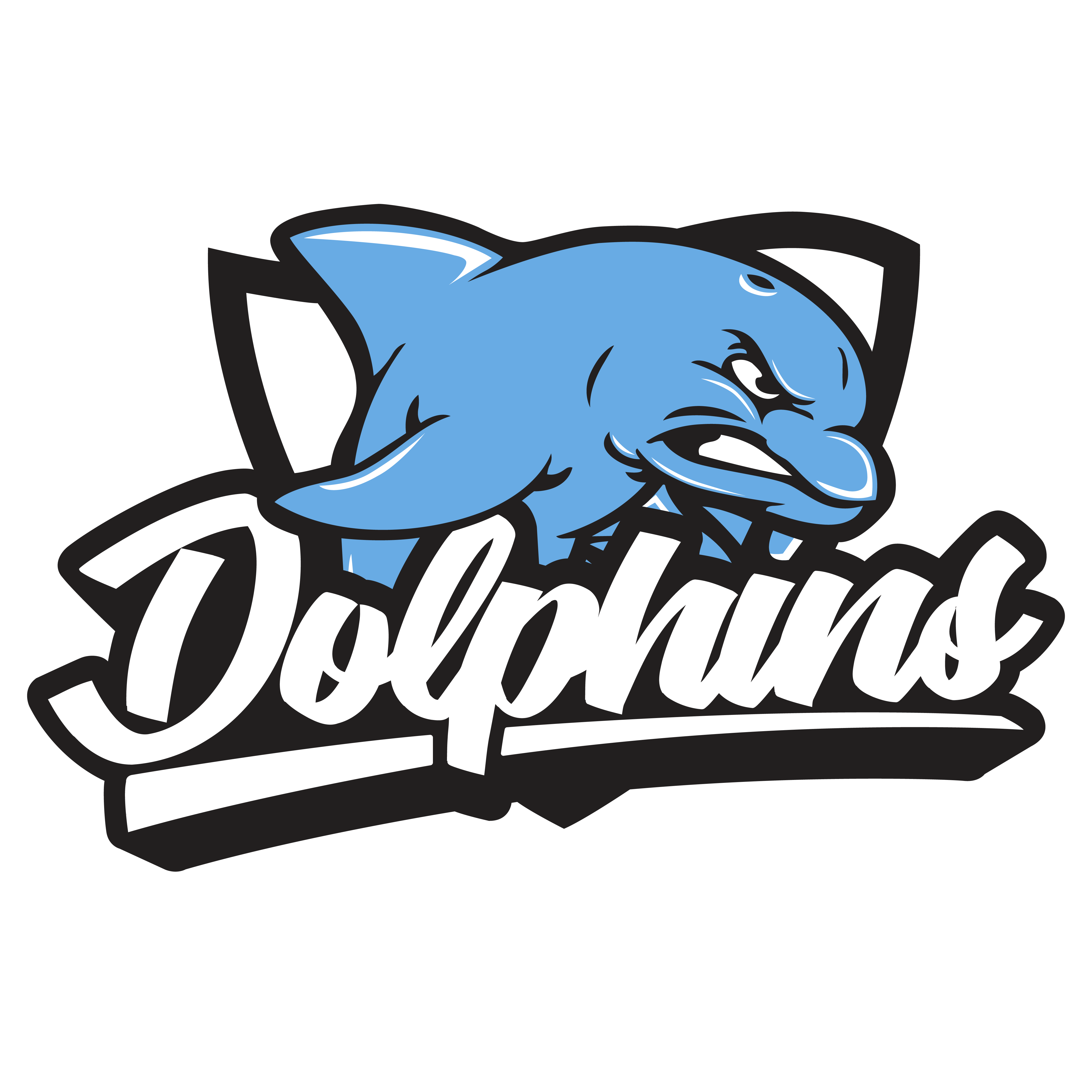 Team Logo